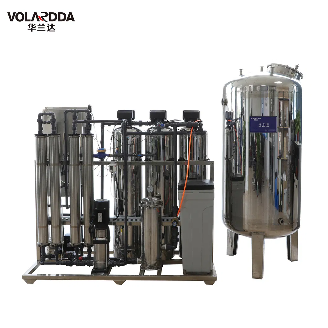 1000lph EDI RO System Reverse Osmosis System RO Water Filter Purifier Water Pruification EDI