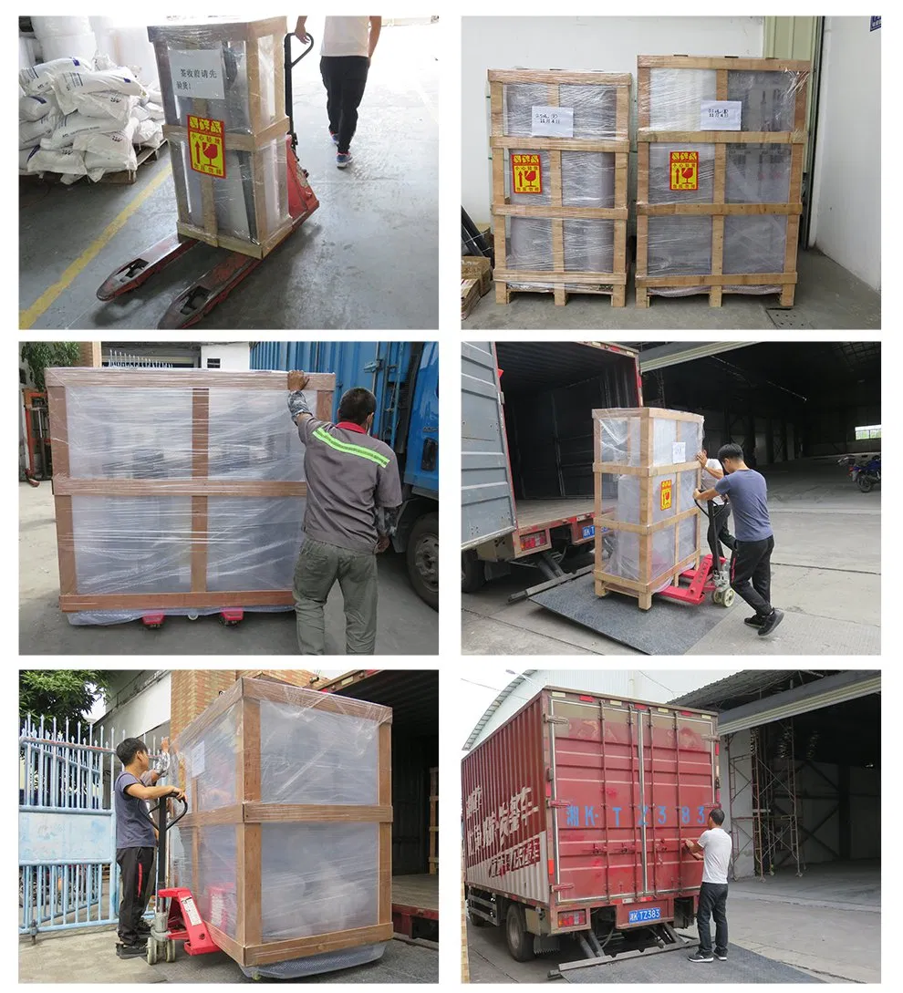 1000lph EDI RO System Reverse Osmosis System RO Water Filter Purifier Water Pruification EDI