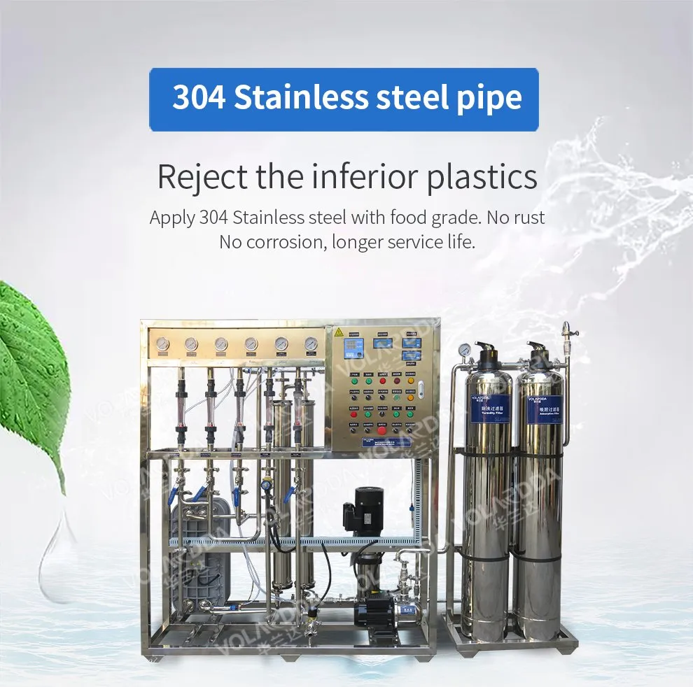 1000lph EDI RO System Reverse Osmosis System RO Water Filter Purifier Water Pruification EDI