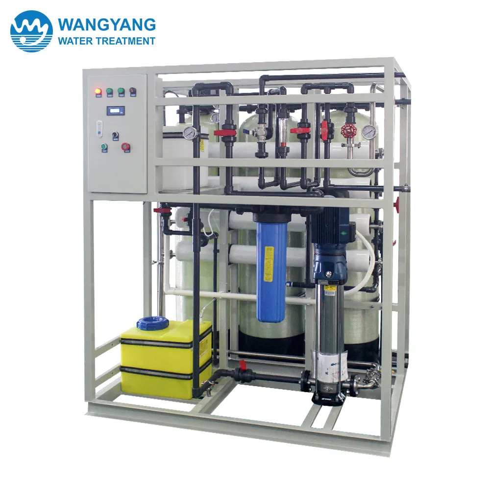1tph Reverse Osmosis Machine to Purify Water with Security Filter