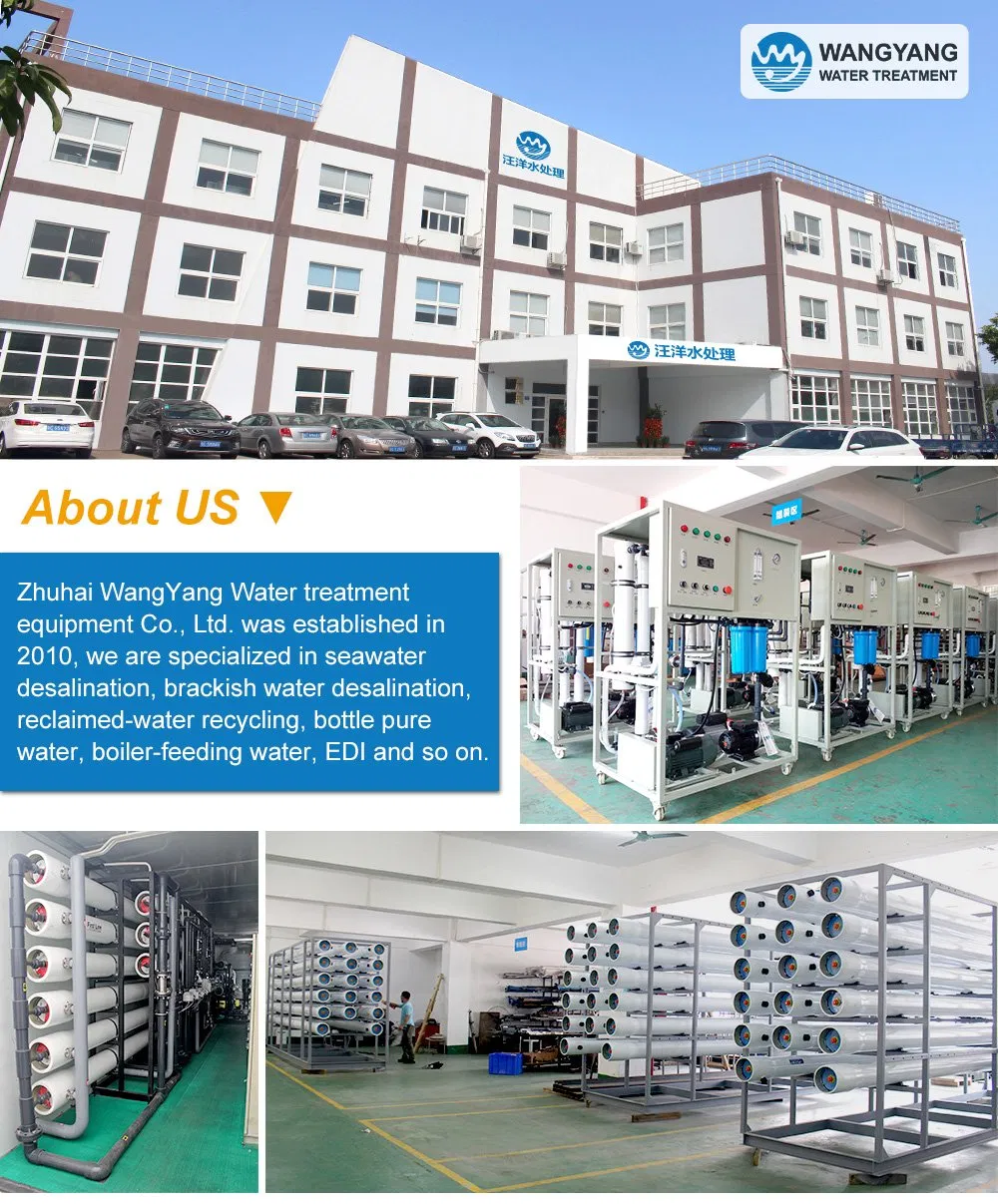 1tph Reverse Osmosis Machine to Purify Water with Security Filter
