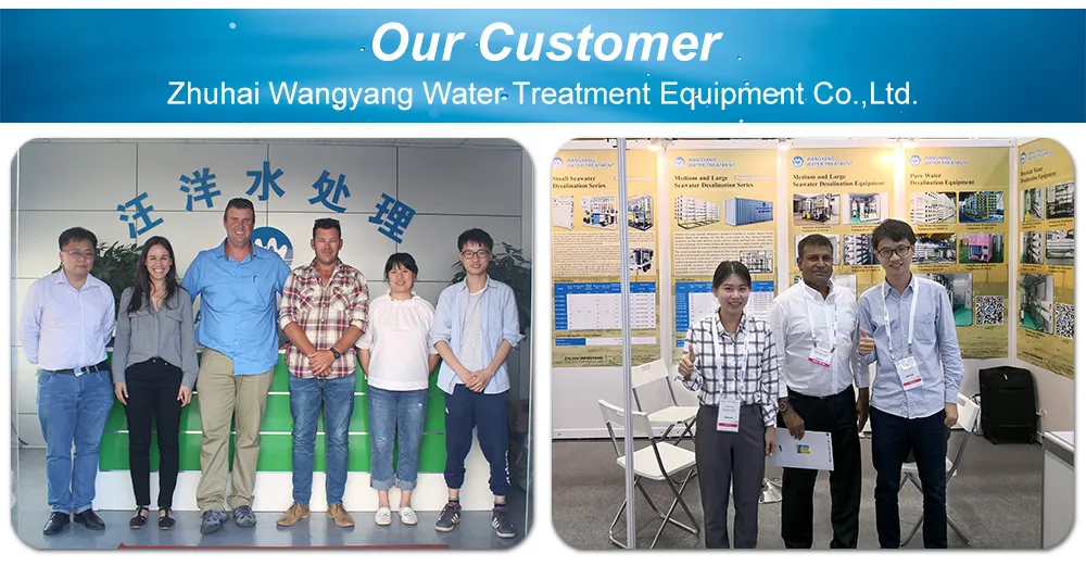 1tph Reverse Osmosis Machine to Purify Water with Security Filter