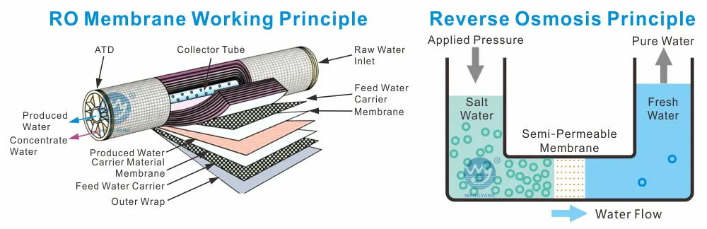 1tph Reverse Osmosis Machine to Purify Water with Security Filter