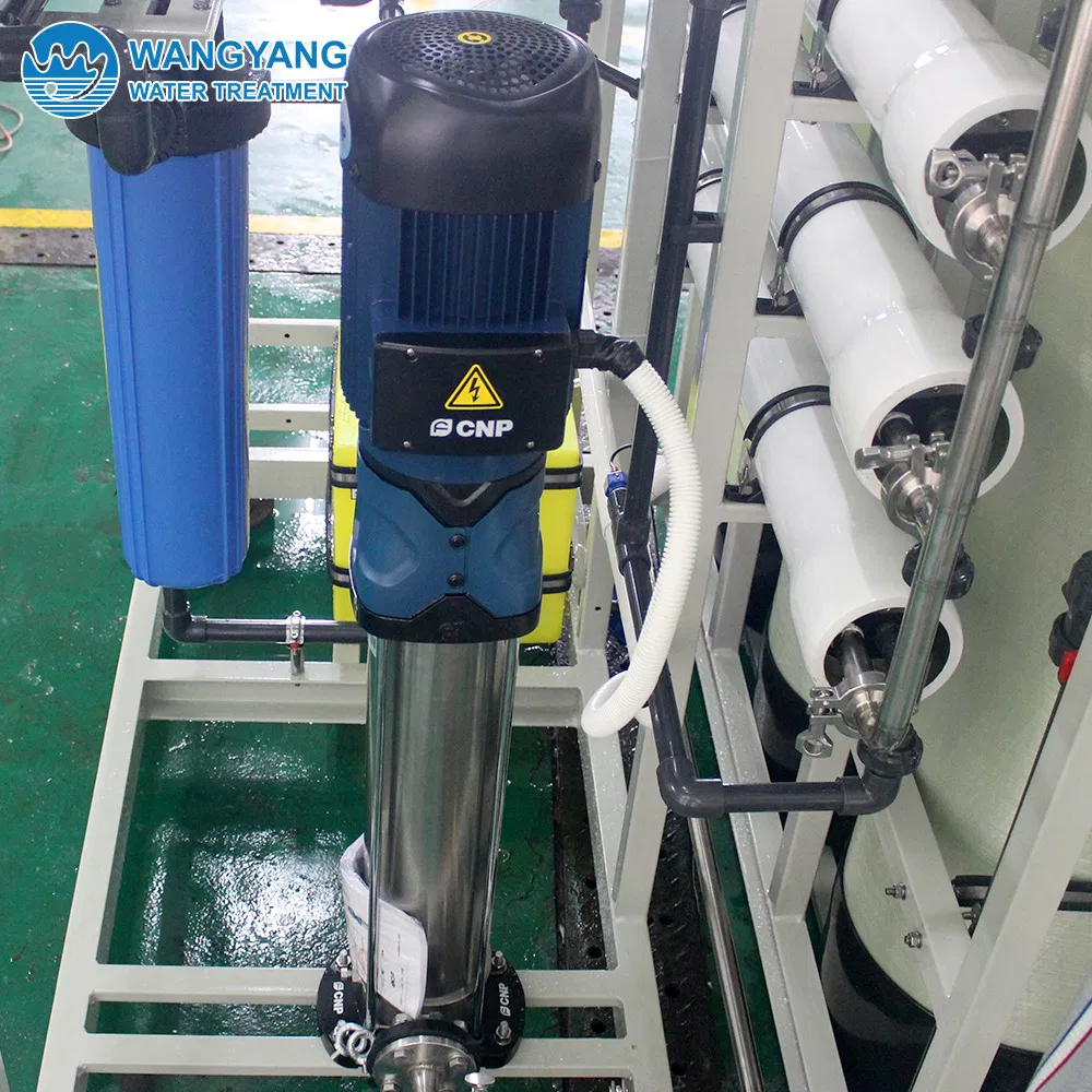 1tph Reverse Osmosis Machine to Purify Water with Security Filter