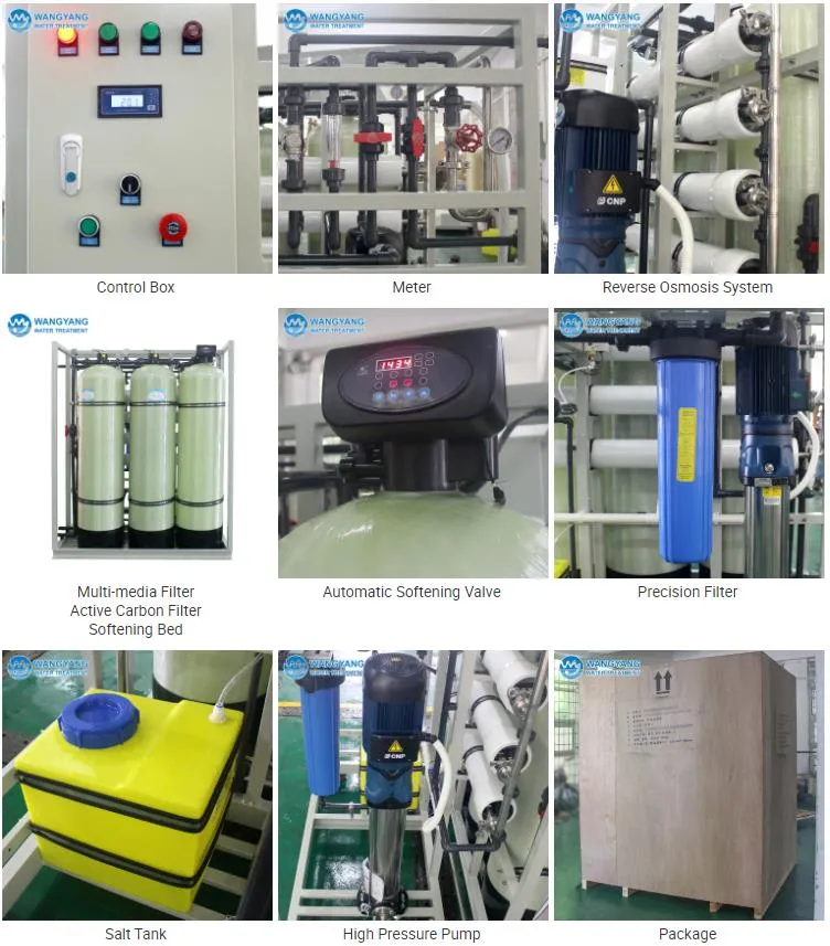 1tph Reverse Osmosis Machine to Purify Water with Security Filter