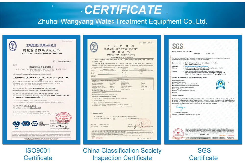 1tph Reverse Osmosis Machine to Purify Water with Security Filter