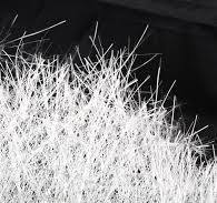 History of Textile Fibers