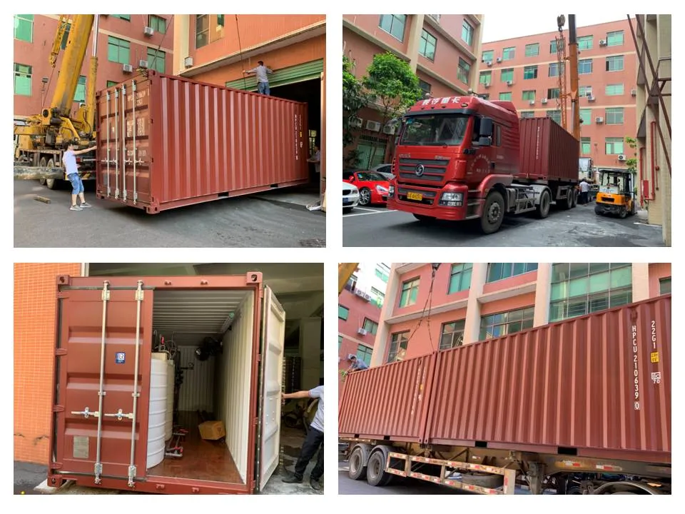 250lph Double Pass RO and EDI Planta Purificadora De Agua Water Purifier Treatment Equipment