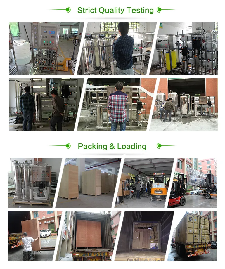 250lph Double Pass RO and EDI Planta Purificadora De Agua Water Purifier Treatment Equipment