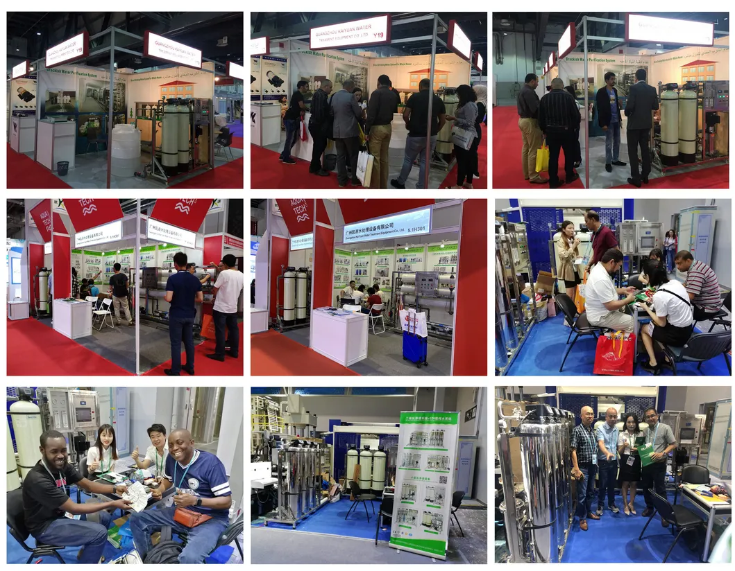 250lph Double Pass RO and EDI Planta Purificadora De Agua Water Purifier Treatment Equipment