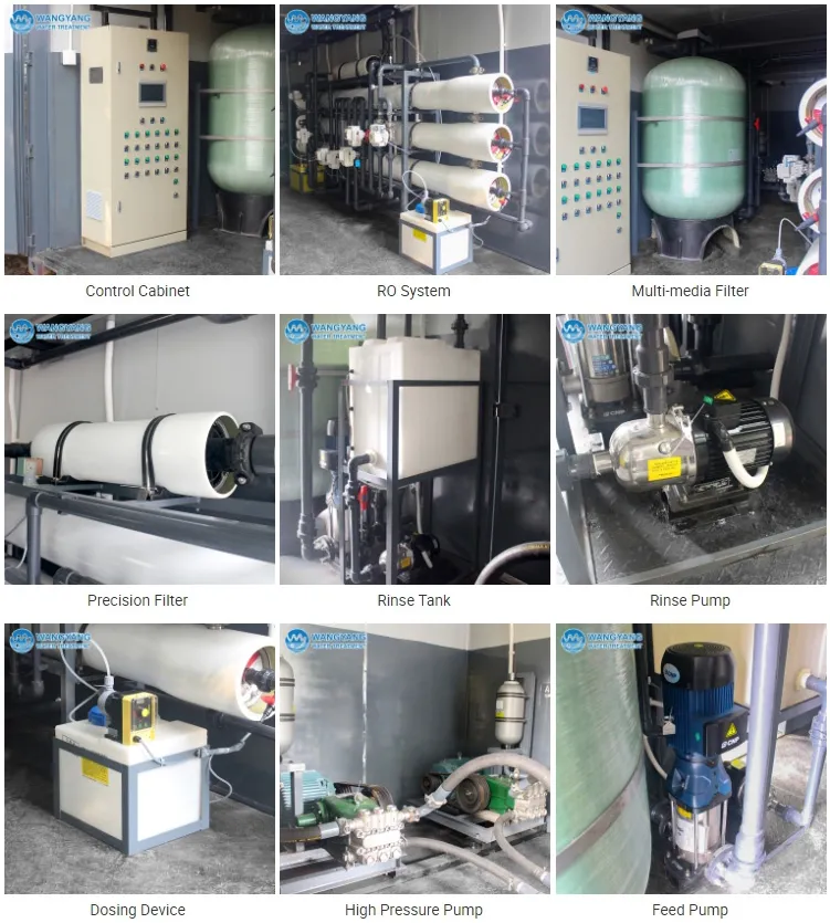 6000L/H Container Water Treatment System RO Machine for Sale
