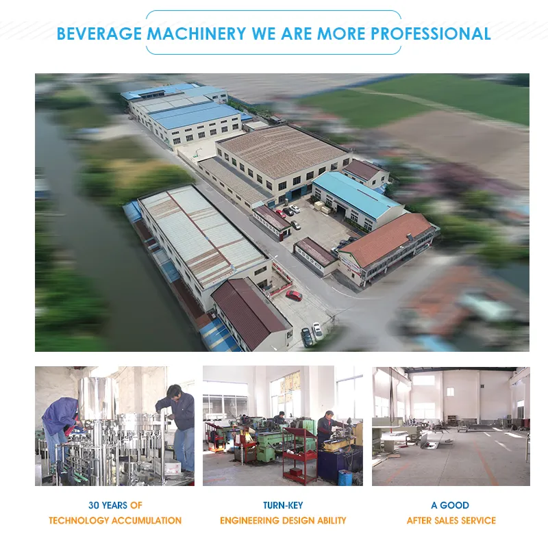 6000L/H Water Treatment for Filling Line