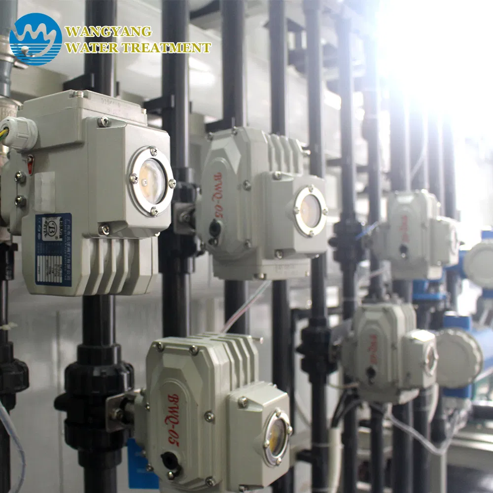 72t/D Sea Water Desalinate System for Using in The Boiler Wy- Sw -72 Indian/Singapore