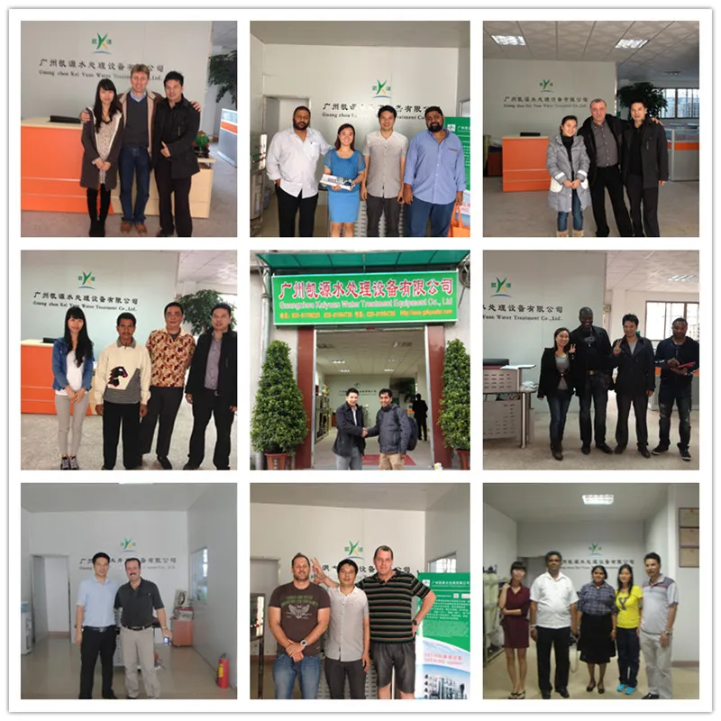 Cnp Pump RO Water Treatment System with Water Treatment Technology (1000LPH)