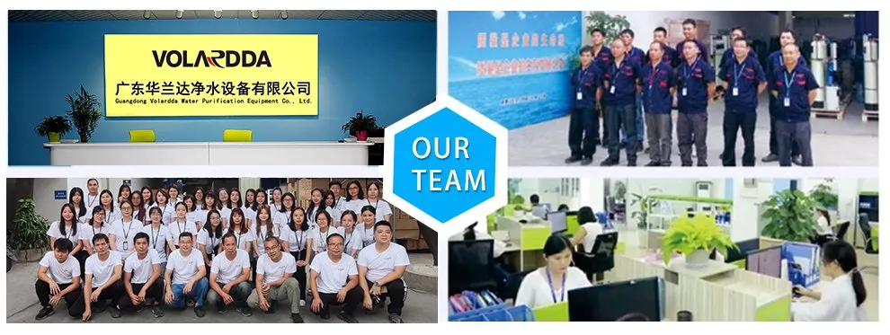 Commercial UF Ultrafiltration System RO Plant Water Purifier