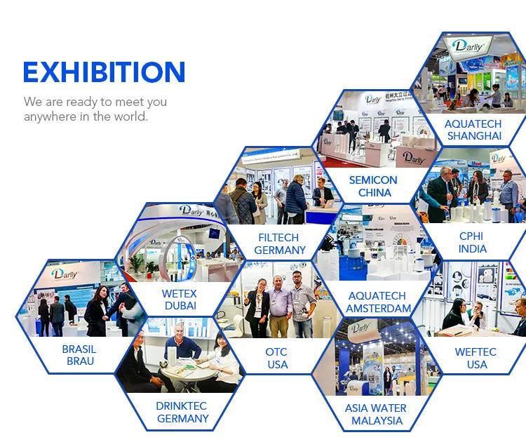 Darlly 0.22 Micron Sterilizing Grade Pes Membrane Micro Pleated Water Cartridge Filters Prior to Bottling