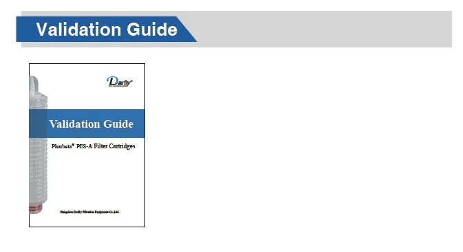 Darlly 0.22 Micron Sterilizing Grade Pes Membrane Micro Pleated Water Cartridge Filters Prior to Bottling