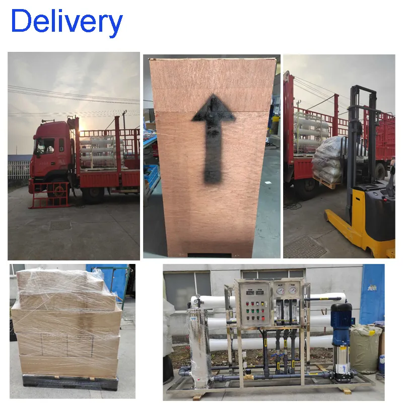 Drinking Water Purification RO Water Treatment Equipment with Cnp Pump