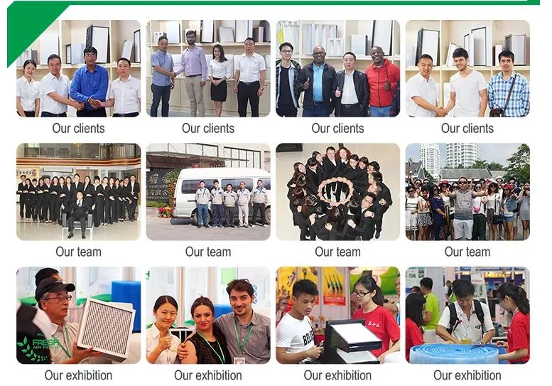 EU3 Pre-Filter Cotton Pre Filter Media Spray Paint Booth a Air Filter Media for Industry