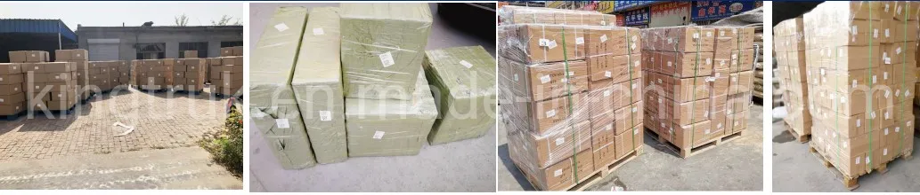 Excavator Fuel Filter 1r0721 1r-0732 8f-1151 A730X-6744-D2a
