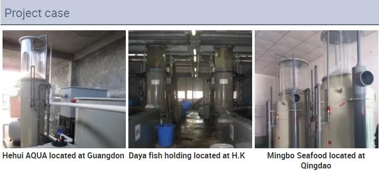 Fish Farm Engineering Aquaculture Equipment Mbbr Biotower Water Filter