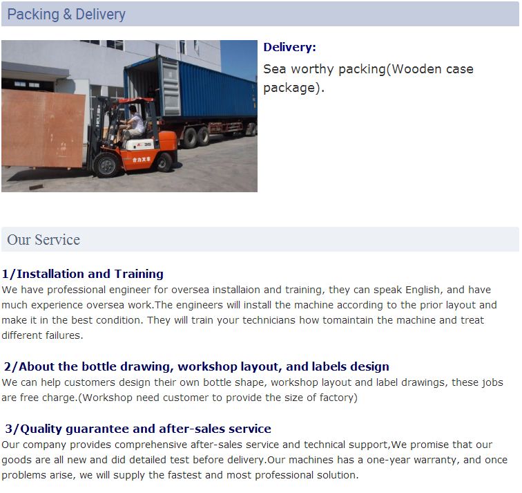 Fully Automatic Dialysate Liquid Mineral Drink Water Treatment Equipment RO Purifier System