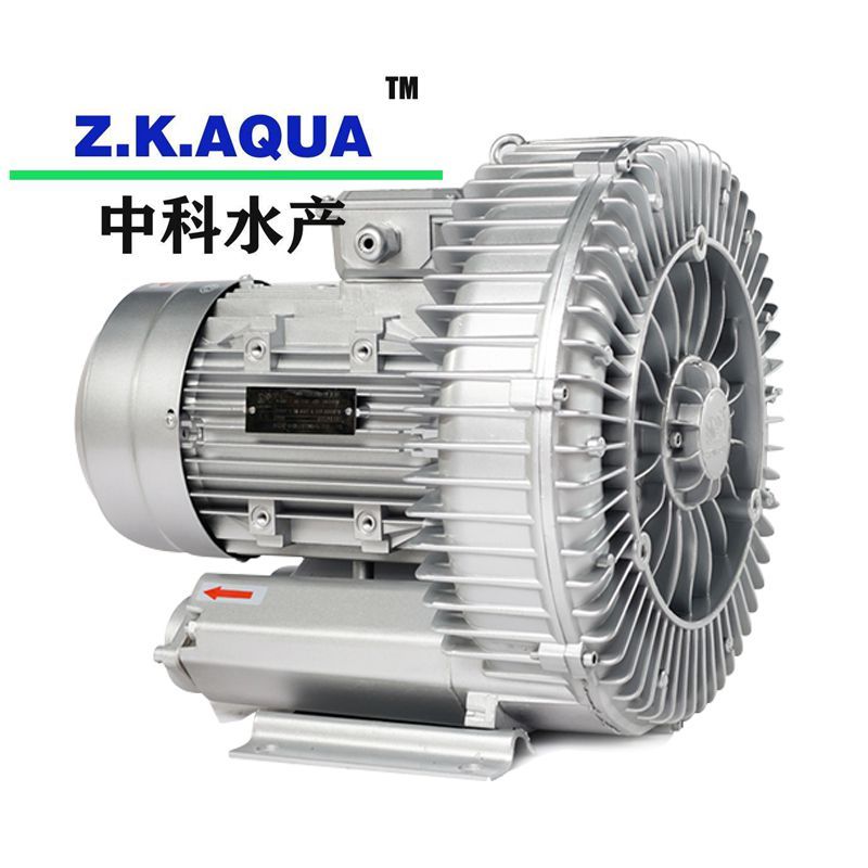 High Quality Inprove Fish Survival Rate Blower with Ras