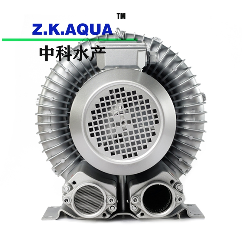 High Quality Inprove Fish Survival Rate Blower with Ras