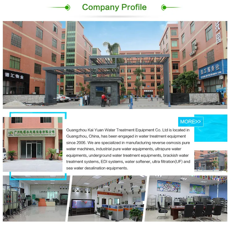 Hospital Use Guangzhou Distilled Water Purifier Filter System Treatment Plant for Dialysis Machines (KYRO-250)