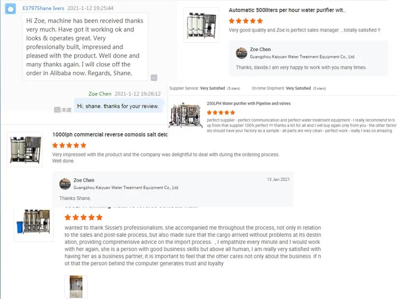 Industrial Best Price Home Water Purification Filter/Bore Water Filter/Aqua Water Filter (500L/H)