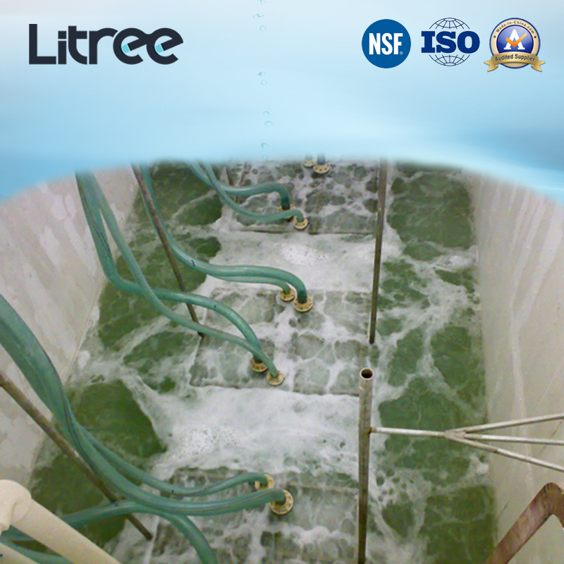Litree Curtain Design Immersed UF Membrane Mbr for Industrial Sewage Treatment Plant