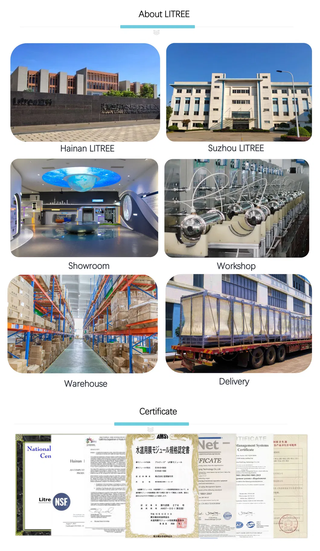 Litree Curtain Design Immersed UF Membrane Mbr for Industrial Sewage Treatment Plant
