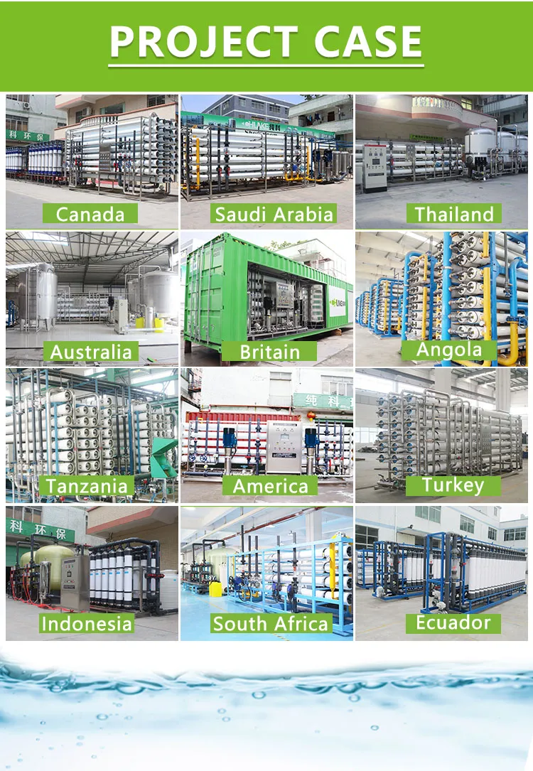 Reverse Osmosis Systems Manufacturer 100lph Water Purifier for Brackish Water Desalination System RO System for Salty Water Purification