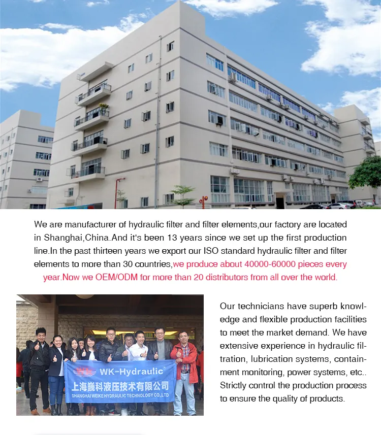 Suction Filter Sf86c-200-Gr90 Machine Hydraulic Filter