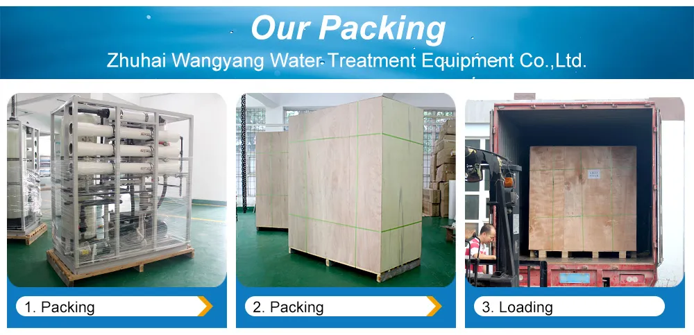 SUS304 Mineral Water Plant Water Purification Machines for RO Bottled Drinking Good Price