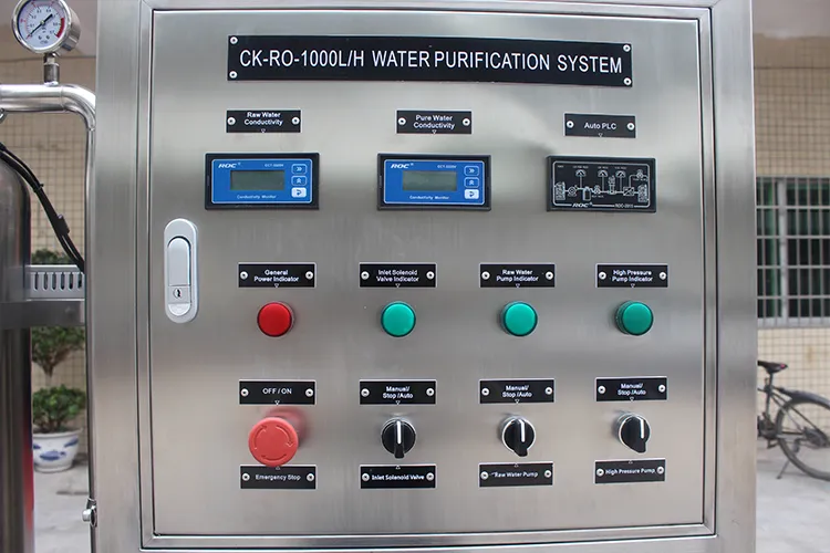 Water Purification Systems Water Treatment System Reverse Osmosis 250 Litre 1000lph RO Plant for Bottling