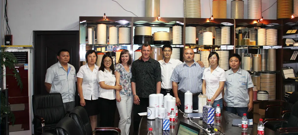 Xtsky Hot Selling for Industrial Filtration Hydraulic Filter 7j-0670