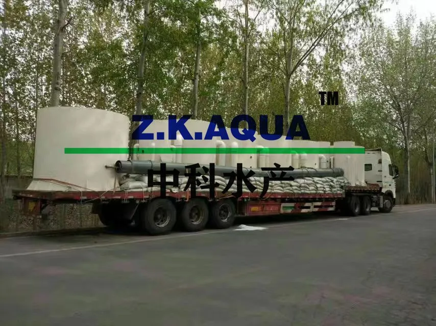 Zkaqua High Quality Bio-Filter Moving Bed Filter Sewage Machine Efficient Machine